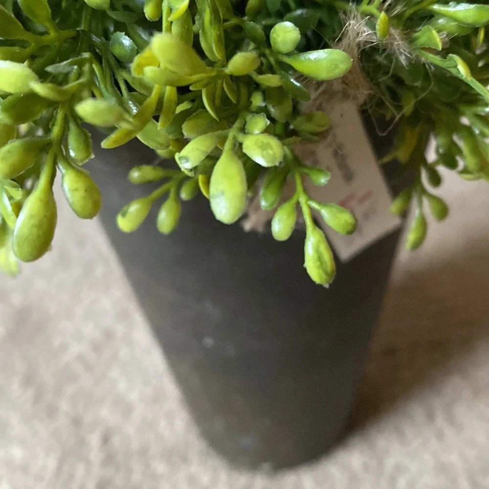 Potted Greenery